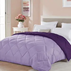 Twin XL Size Light Purple Comforter Plum Lavender Reversible Lightweight Girls Cooling Bedding College Dorm Bedspread Spring Blanket