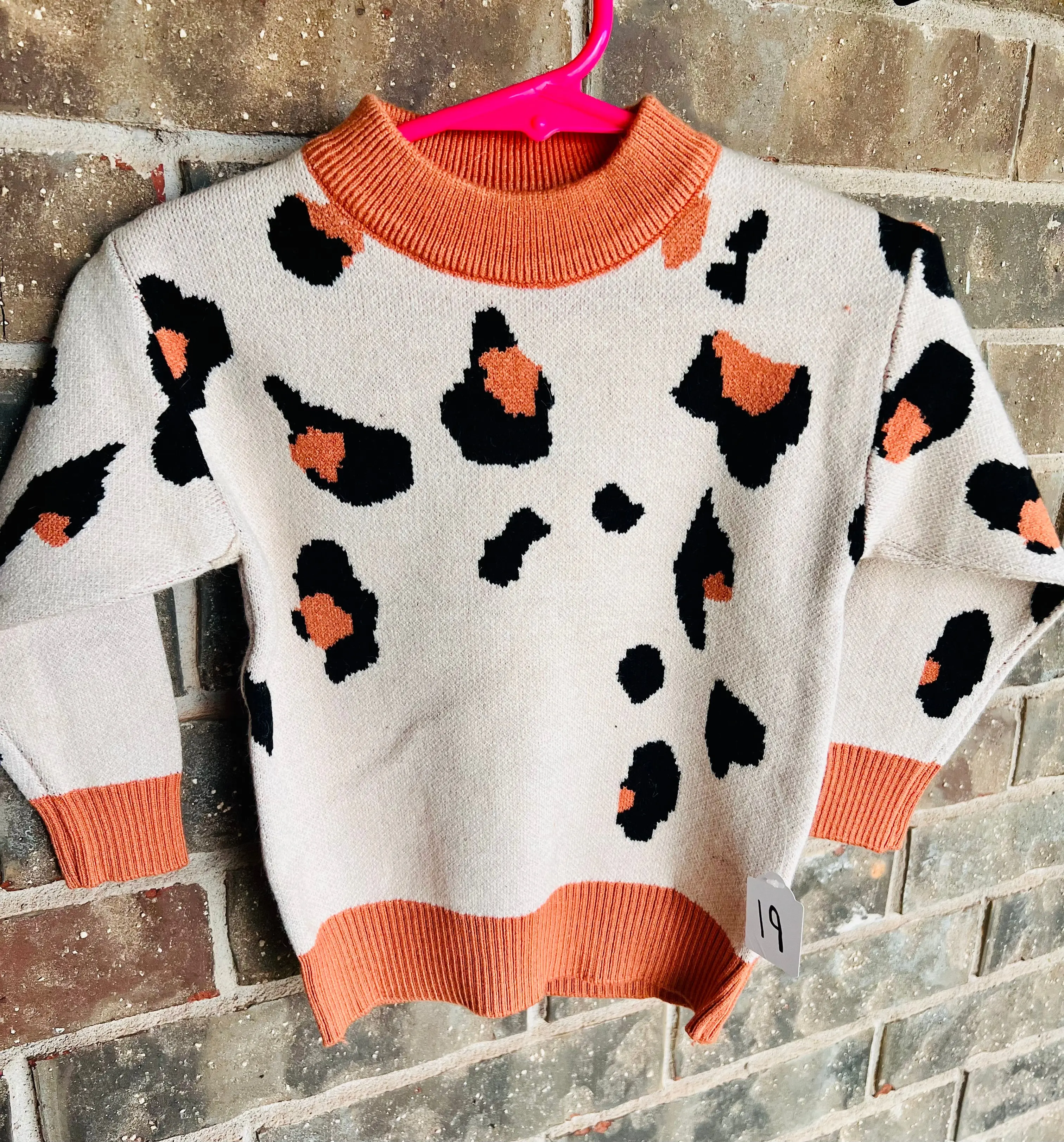 Cheetah Sweater ￼