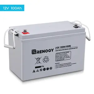 Renogy Deep Cycle AGM 12 Volt 100Ah Battery, 3% Self-Discharge Rate, 1100A Max Discharge Current, Safe Charge Appliances for RV, Camping, Cabin, Marine and Off-Grid System, Maintenance-Free