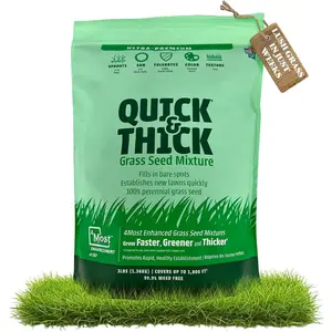 Ultra  Quick and Thick Lawn Seed Mixture - Rapid Germination for Any Lawn, Dense Coverage in Sun to Shade, High-Traffic Areas, Fescue, Kentucky Blue, & Perennial Ryegrass Blend, 3lb Bag