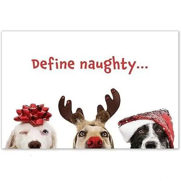 SorimKim-  Funny Naughty Dog Christmas Cards, Boxed with Envelopes, (Define naughty...) Jokes Card Xmas Gift