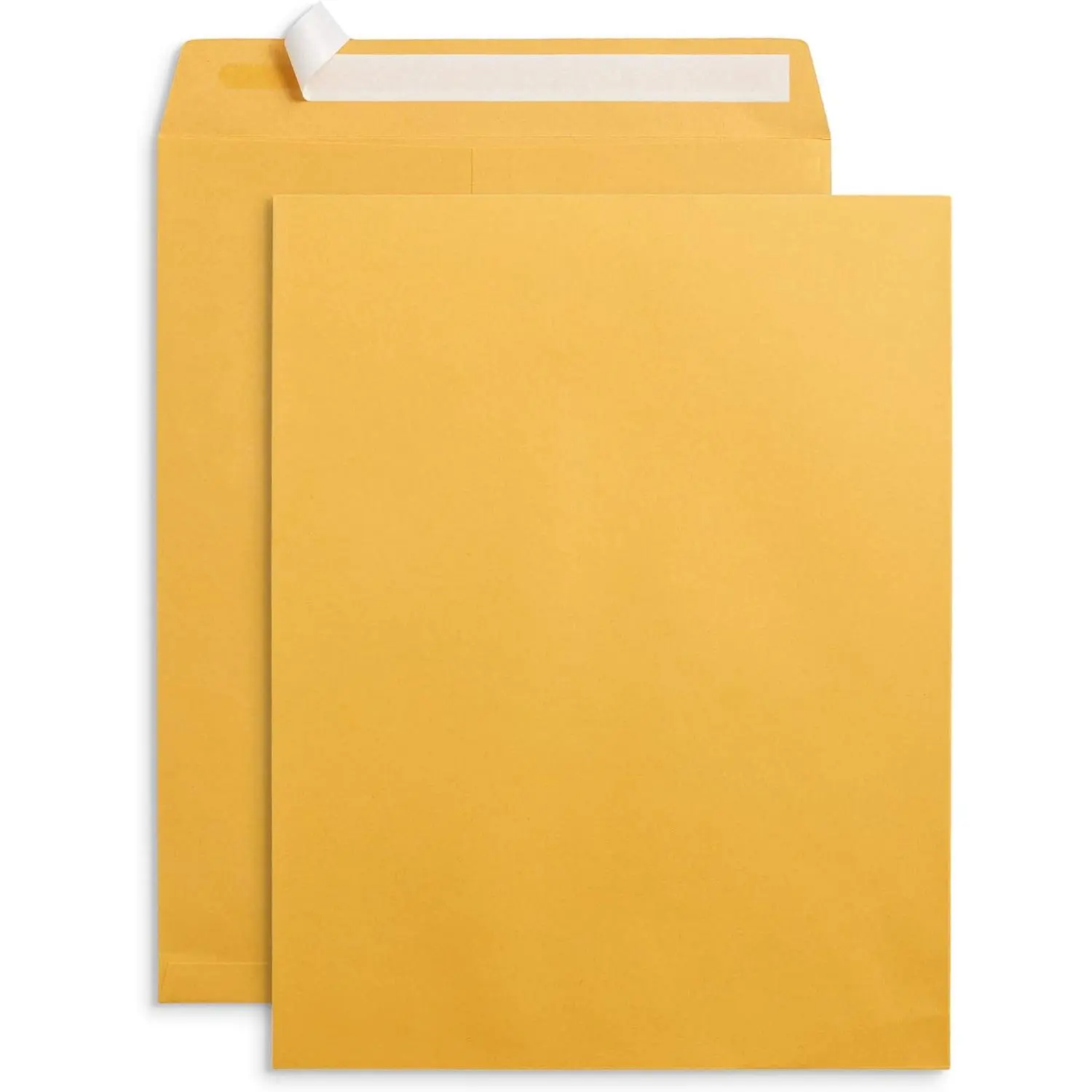 100 10” x 13” Catalog Envelopes, Self Seal, For Mailing Catalogs, Magazines and Thick Documents, No Window, 28 lb Paper Envelopes, 100 Pack