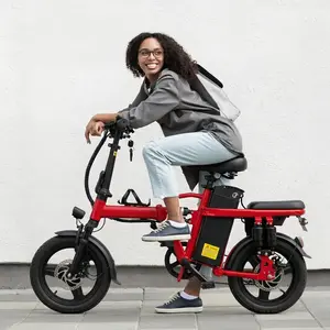 anniversary edition adult electric folding bicycle is equipped with a 650W motor, a 14-level adjustable suspension system, a 48V 15Ah battery, and a range of up to 45 kilometers. pedals, and an electric bicycle charger. Dual Seat Bike Foldable