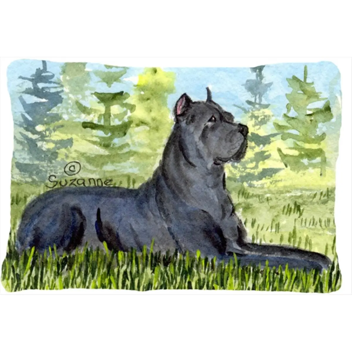 212 MAIN Cane Corso Home Decorative Cushion - 12x16 in Polyester Pillow, Durable Cushions, Mildew-Proof for Indoor/Outdoor Use