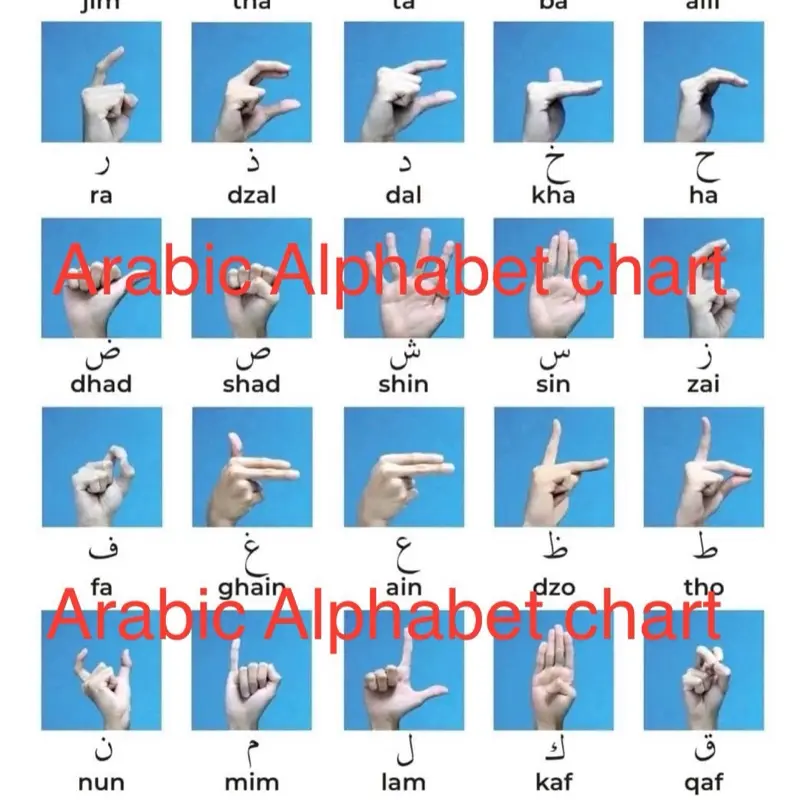 Arabic Alphabet Sign Language Chart - Educational Chart for Learning ...