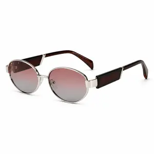 Oval Metal Frame Non-Prescription Glasses - Vintage Tinted Eyewear for Women, Men (Fashion Accessories)