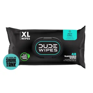 DUDE Wipes - Toilet Flushable Wipes - 1 Pack, 48 Wipes - Mint Chill Extra-Large Adult Wet Wipes - Eucalyptus & Tea Tree Oil - Sewer and Septic Safe