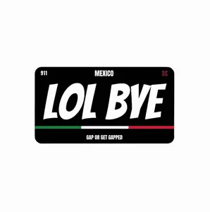 LOL BYE Magnetic License Plate Cover