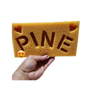 Pine Designed XL Coral Custom Made Engraved Large Sponge 8.3 x 4.38 x 2.8 Inches Soft Scratch Free Personalized Cleaning Tool Sink Absorbent