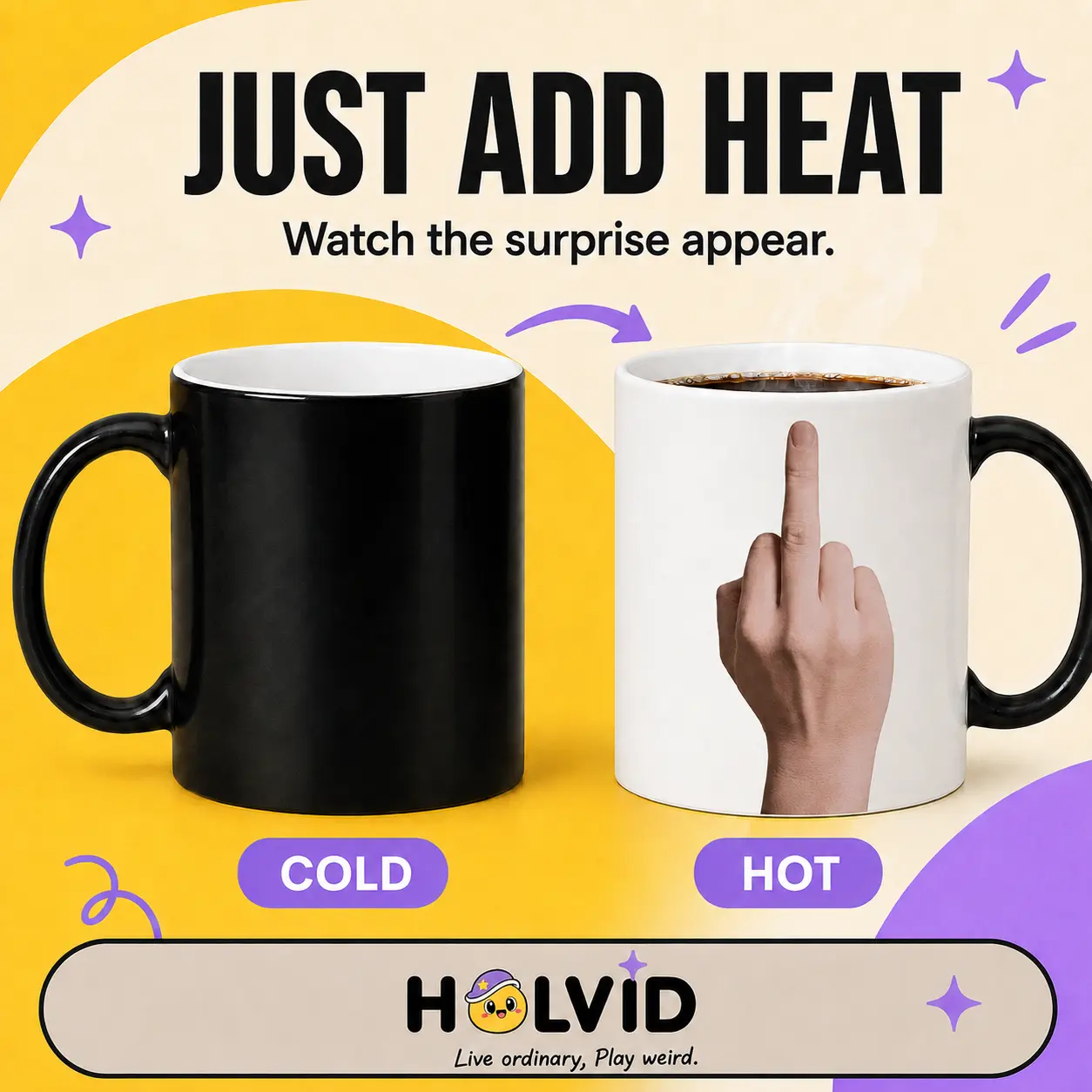Holvid Just Add Heat Mug - 1-Piece Cold-to-Hot Heat Reveal Mug with Surprise Design, Everyday Plain Style, "Live Ordinary Play Weird" Playful Slogan - Unique Gift Idea for Kitchenware Drinkware Enthusiasts