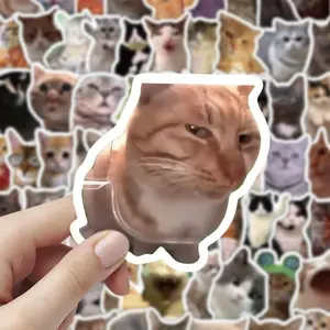 100pcs Cute and Funny Cat Sticker Pack, Trendy Instagram-Style Memes for Laptops, Suitcases, Computers, Chairs, Walls, Cabinets, Funny Stickers
