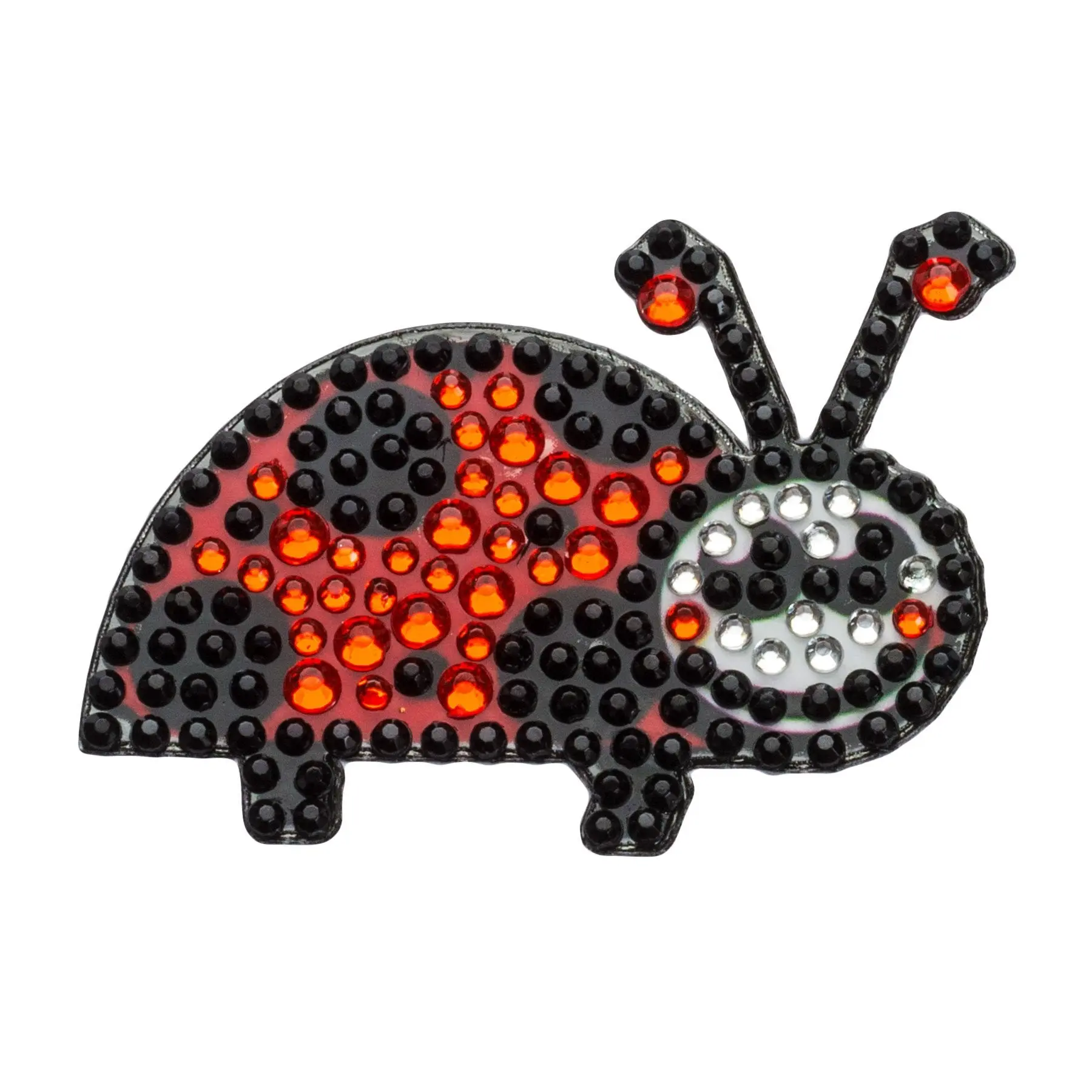 Ladybug