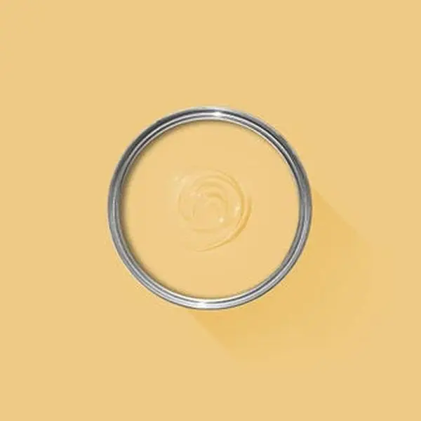 Farrow & Ball Yellow Ground NO.218 🚚 Free Shipping!
