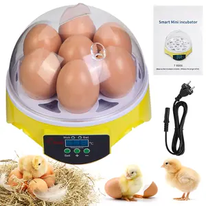 Automatic Egg Incubator for Home Use, Small Automatic Egg Incubator, Transparent Observation Window Smart Temperature Control Suitable for Chicken, Bird, Duck, and Goose Eggs, 7-Egg Capacity