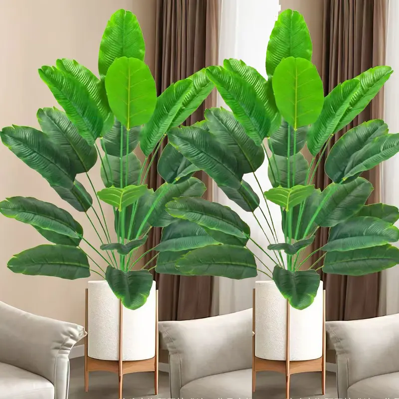 brandi philodendron griwing vines but not leaves 6 Philodendron Branditianum  Paradiseplanthouse
