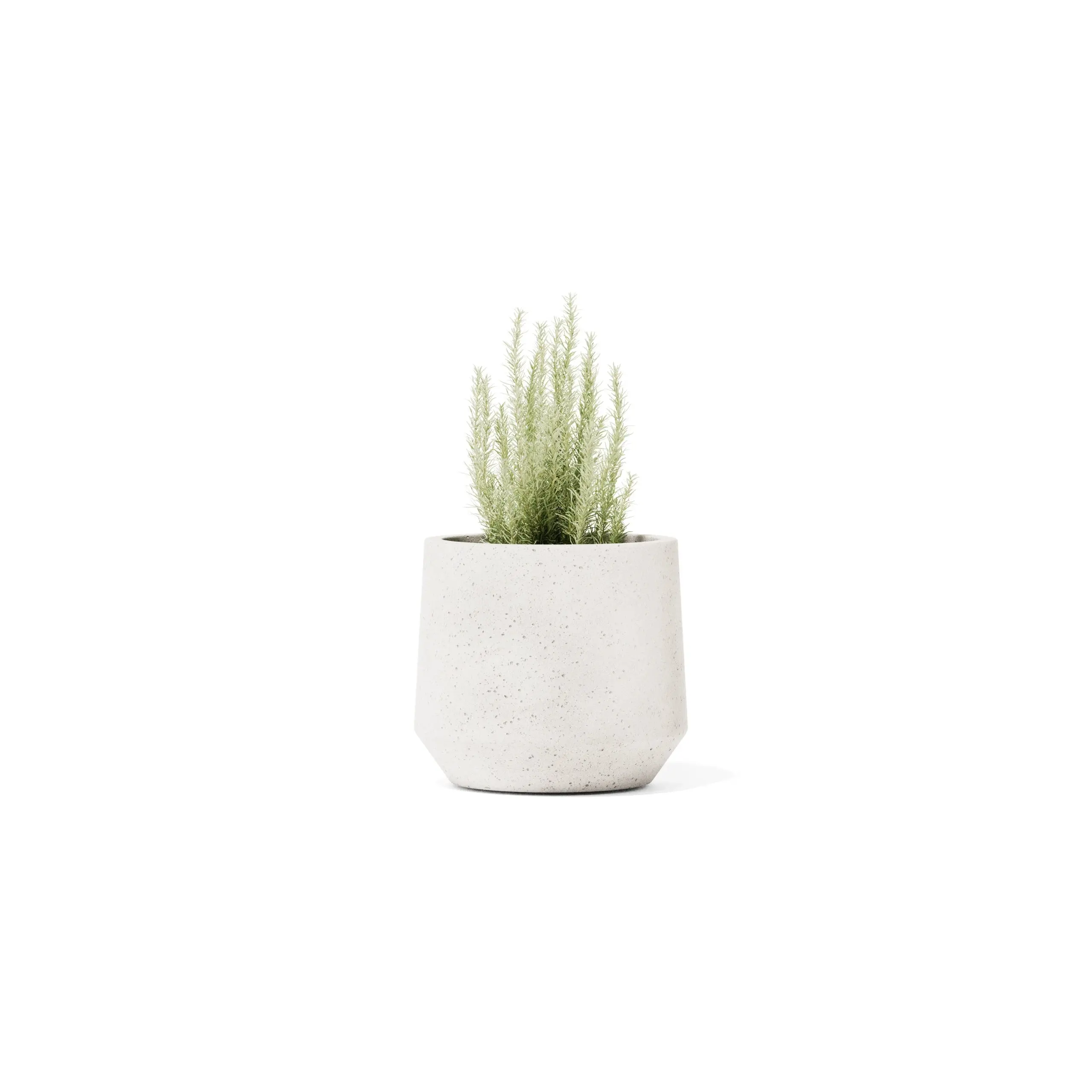 Champ Planter