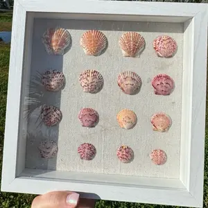 Handcrafted Shadow Box 9x9 with Real Scallop Shells in Soft Pink Coastal Aesthetic for Shelf Styling or Wall Décor