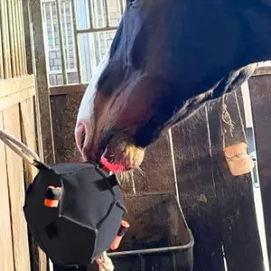 New Interactive Horse Toy Carrot Training Feeding Ball Catcher, Fun Pet Supplies for Kids, Educational and Engaging Playtime Accessory