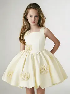 Childrens Dresses Princess Dresses 3D Floral Dresses Little Hostess Piano Performance Costumes Tutu Skirts Flower Girl Wedding Dresses