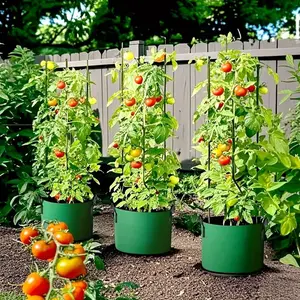 2pcs Large Capacity Heavy-Duty Planting Bags with Handles, Portable & Lightweight, Non-Woven Fabric Plant Pots for Indoor/outdoor Use, Indoor Outdoor Planter, Portable Garden Planters