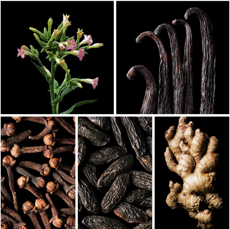 Reverie Parfums' Tabac Vanilla Perfume inspired by T*bac*o Vanille - Unisex Fragrance