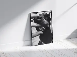 Aesthetic Dog Print for bedroom - wall art poster print poster wall art cool print posters gift for women gift for men summer vibes