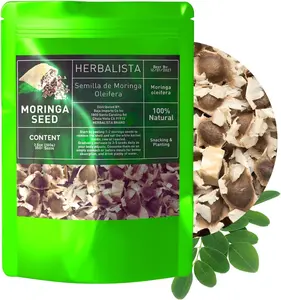 Moringa Seeds 3.5 oz (100 g) | Approx. 350 Plus Seeds | Premium PKM1 Variety | Non GMO Wildcrafted Drumstick Tree Seeds | Ideal for Planting or Snacking | Moringa Oleifera