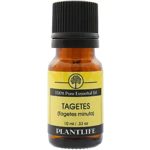 Plantlife Tagetes Essential Oil 10 ml – Fresh Green Herbal Aromatherapy Oil
