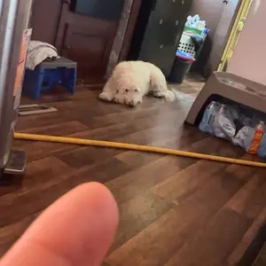 Automotive Oxygen Sensor Socket Removal Tool Wrench and Thread Chaser Set 5Pcs