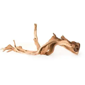 Galapagos Staghorn Wood Manzanita Root Brown