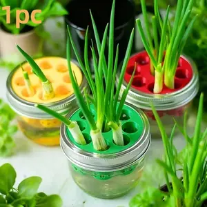 Garlic & Onion Home Gardening DIY Kit, Hydroponic Plants, Hydroponics Growing System, 3D Printing Molds, Garden Supplies, Easy Planting Tools