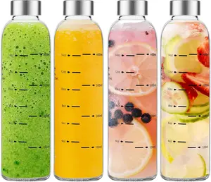 17oz Glass Water Bottle with Stainless Steel Lid, Reusable Clear Juice Bottle, Leakproof BPA-Free Drinking Bottle for Juicing & Refrigerator