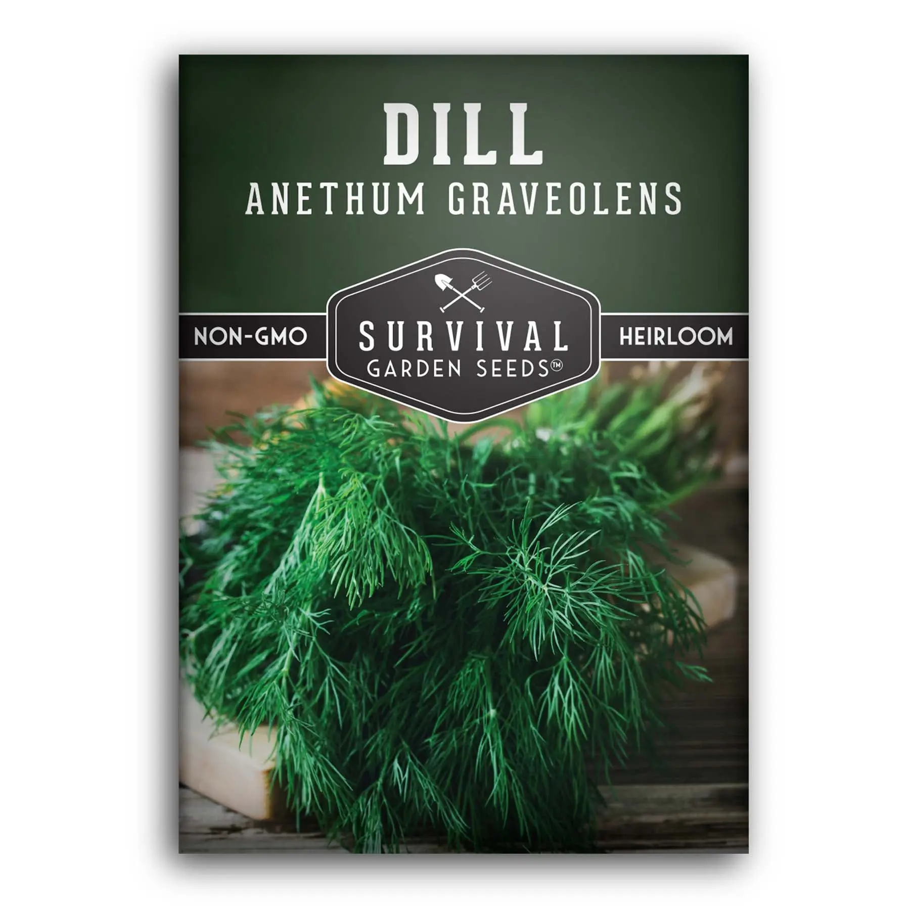 Dill Seed - Grow Herbs in Your Home Garden