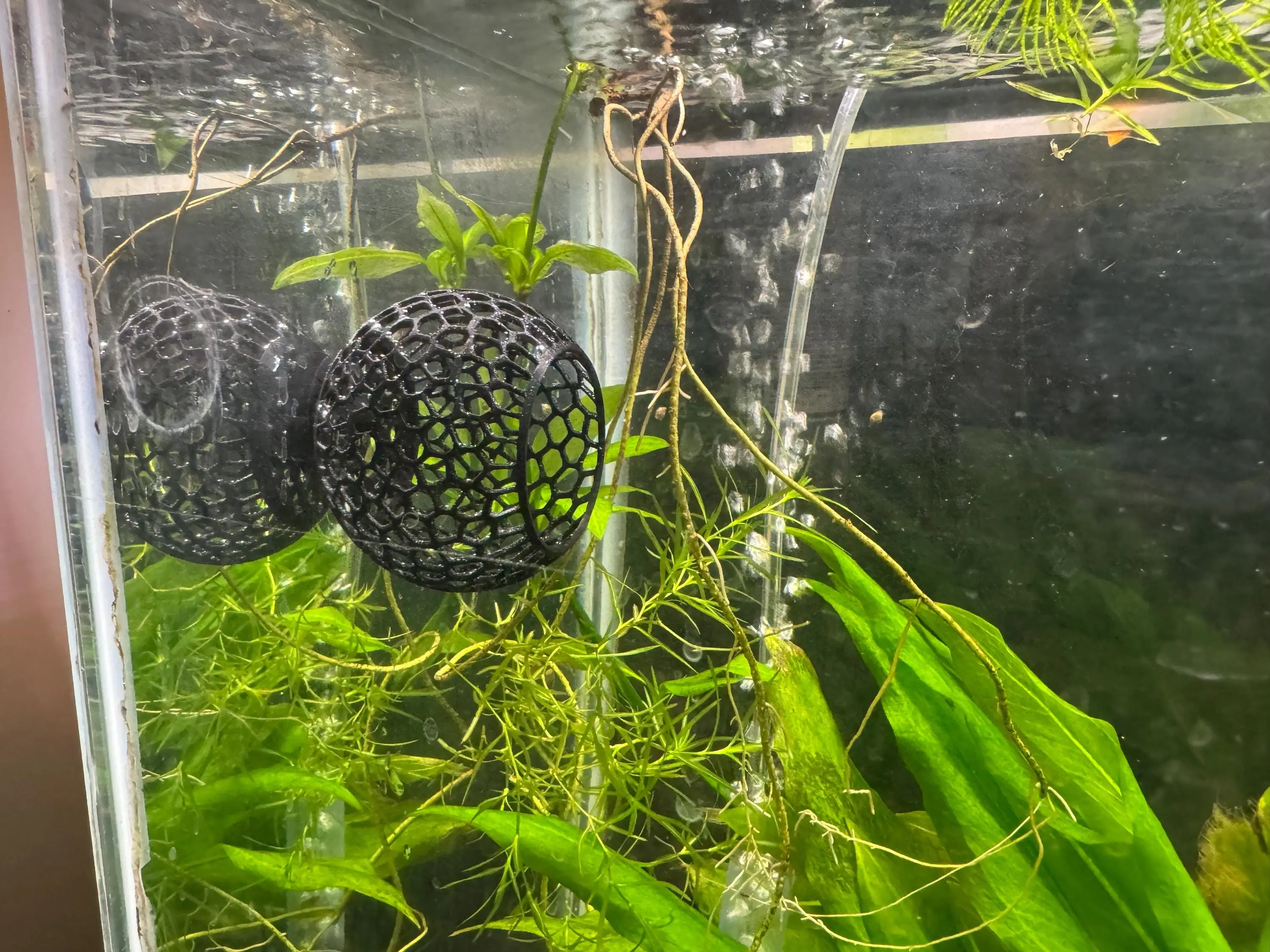 Suction Betta Fish Hide: Voronoi Aquarium Cave