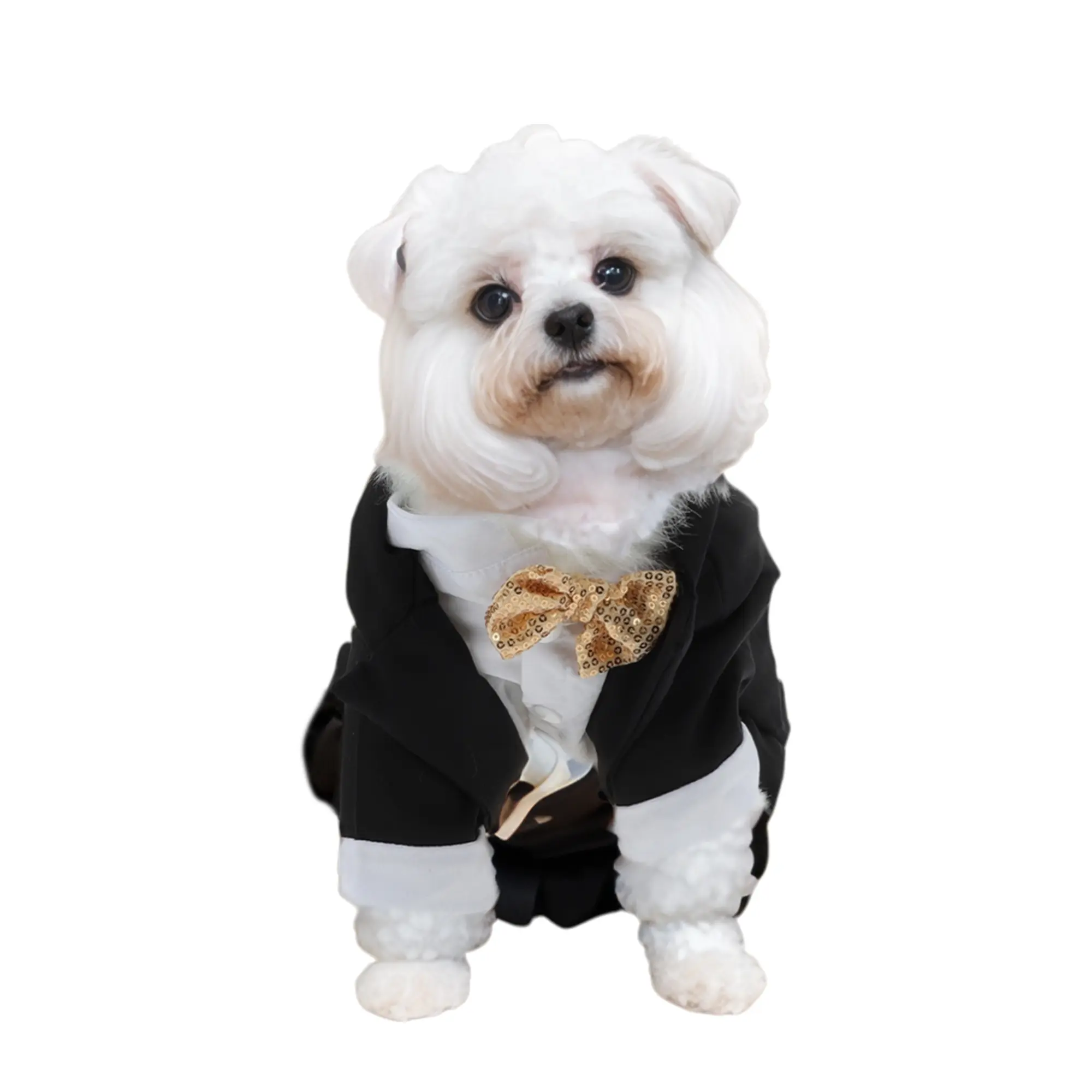 VOCOSTE Dog Tuxedo, Stylish Pet Formal Attire, Dog Wedding Outfit, Dog Shirt Puppy Clothes Dress Up Cosplay for Small Medium Dogs, Black