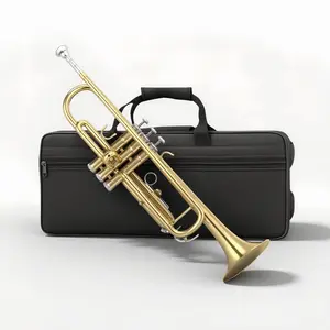 Bb Trumpet with Case and Accessories, Ideal Choice for Beginners and Musicians, Quality Sound and Ergonomic Design