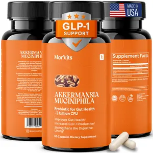Morvits Akkermansia Probiotic + Inulin Prebiotic – Supports Digestive Balance & Gut Wellness – 2 Billion CFU, 60 Capsules