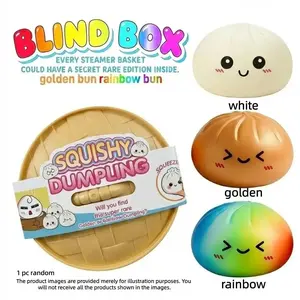 Big Dumpling Squishy - Blind Box, Mysecret Bun Fidget Toy, Soft TPR Material, Soft Squishy Silicone, Stress Relief, Unboxing Surprise, Random Style per Pack, Valentine's Day and Easter gifts, children to exchange gifts