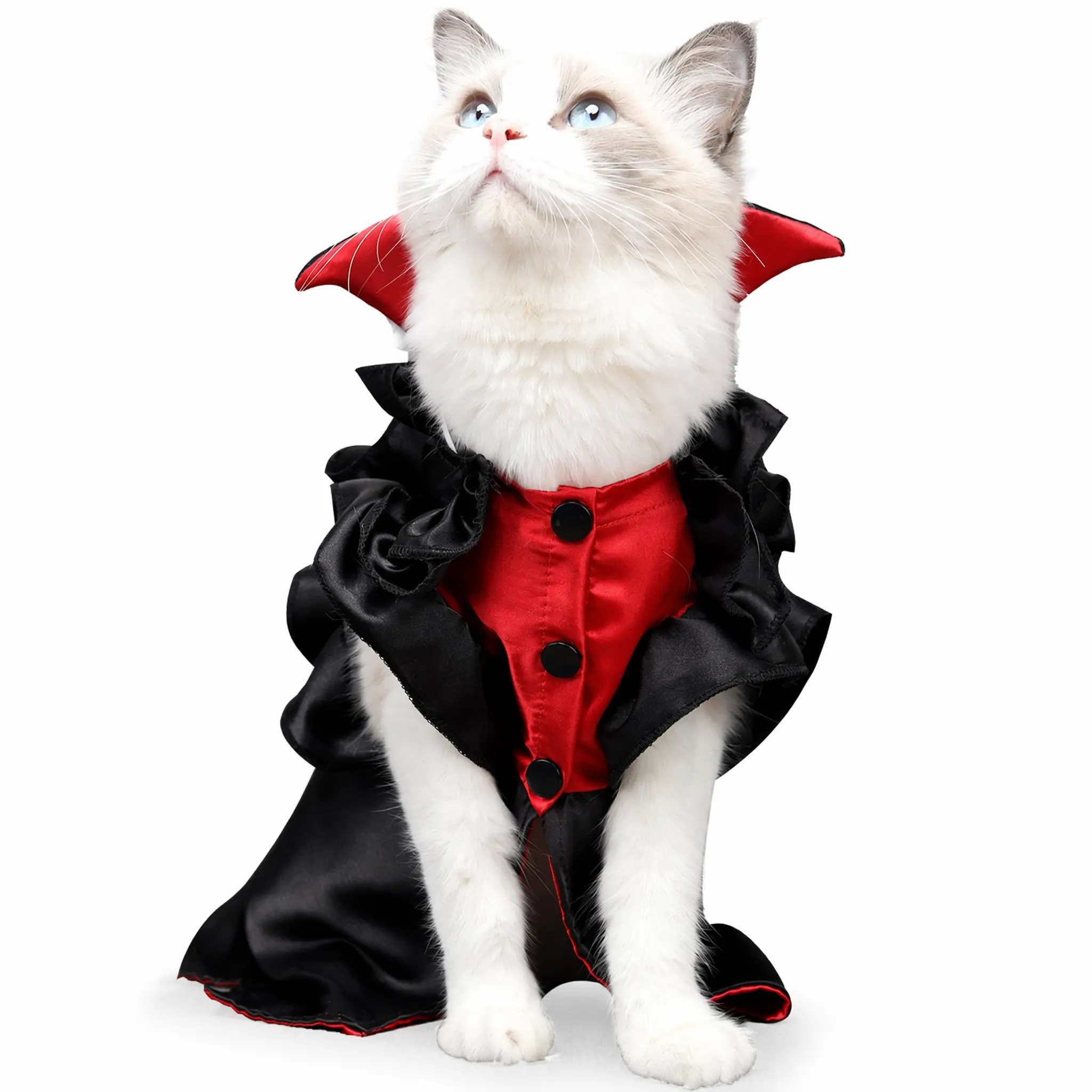 Cat Halloween Vampire Costume – Black Satin Cape Dress with Red Collar & Ruffle Trim, Cute   for Cats & Small Dogs, Holiday Party Photo Prop pet outfit