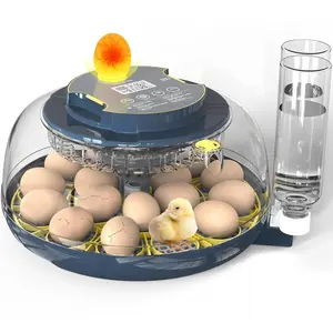 Smart 18-Egg Incubator with Auto Turner, Digital Temp/Humidity Control & 360° Viewing for Chicken/Duck Eggs