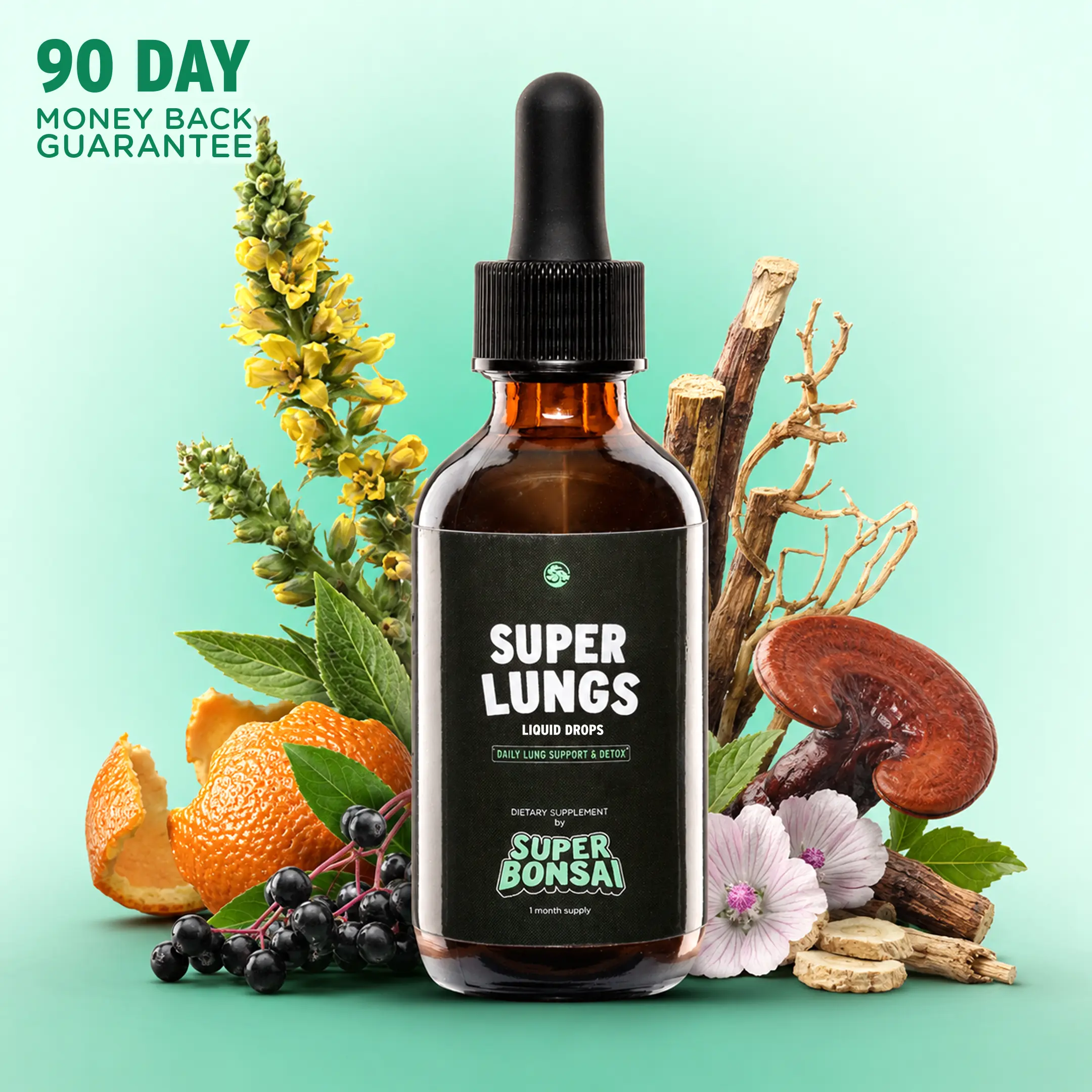 SuperBonsai Super Lungs - Natural Ingredients with Mullein and Elderberry - Daily Lungs Support and Detox / Cleanse - GMO Free, Gluten Free, Vegan