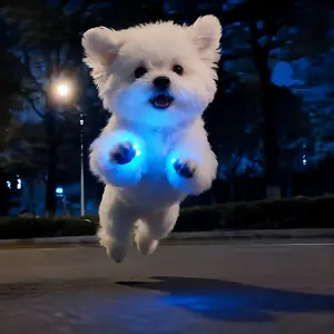 Dog Shoes with Cool Gradient Flashing Lights