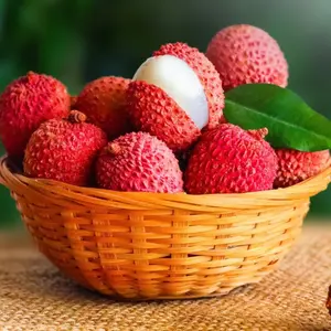 10 Lychee Seeds Tropical Fruit Tree for Home Garden Decorative Foliage Round Textured Fruit Suitable for Outdoor Gardens or Large Containers