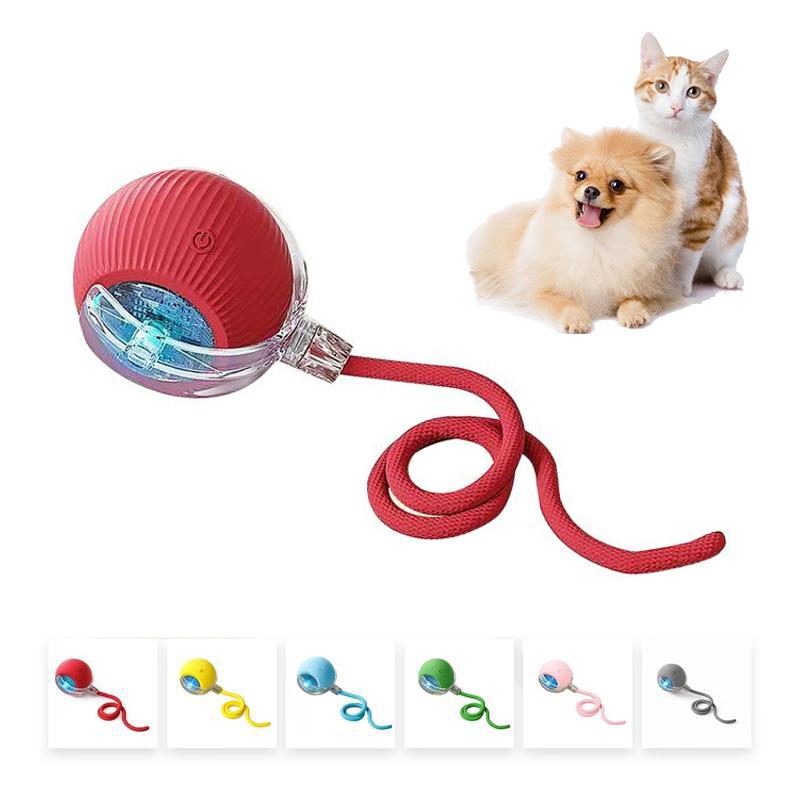 【FREEShip】Cat & Dog Need Toy - Interactive USB Rechargeable  Ball Toy on Rug with Bird Chirping, Pet Fun Companion Toy Electronic with Sound and Light Cat and Dog Companion Toy-Anti-Depression Fun Gift for Cats & Dogs