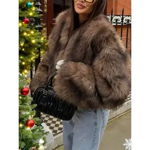 Autumn Winter New Faux Fur Coat, Plush Warm Short Jacket, Casual Comfy Jacket, Stylish Outerwear for Women, Comfortable and FashionableRAIMENTRY