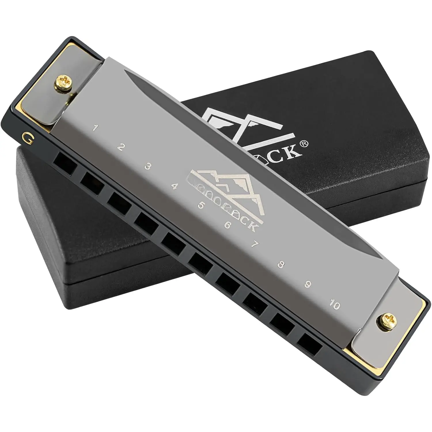 Blues Harmonica Mouth Organ 10 Hole G Key with Case, Diatonic Harmonica for Professional Player, Beginner, Students gifts, Adult, Friends,  Black
