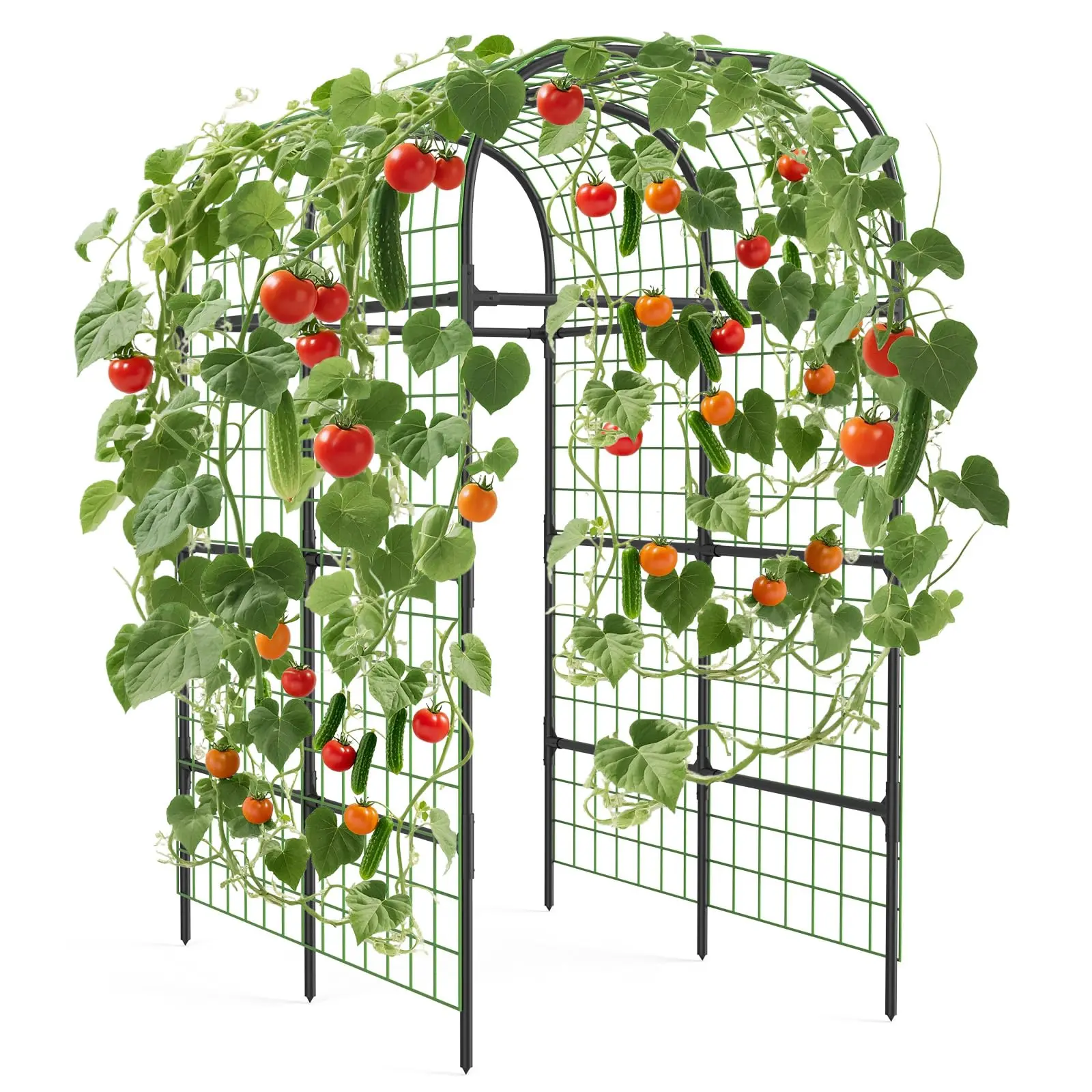 Garvee Metal Garden Trellis for Climbing Plants, Vegetables, Fruits, Flowers, 124 x 180 x 224 cm Garvee Metal Garden Trellis for Climbing Plants, Vegetables, Fruits, Flowers, 124 x 180 x 224 cm