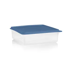Tupperware Snack Stor Square - ideal for baked goods, snacks and deli items