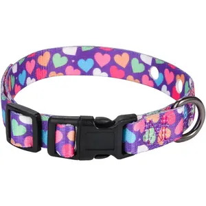 3/4 Inch Replacement Collar Strap Shock Collar with 2 Holes, Compatible with Nearly All Brands and Models of Underground Electric Dog Fences and Training Collars, Heart Print Pattern