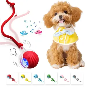 Cat & Dog Interactive USB Rechargeable Ball Toy on Rug, Bird Chirping Sound, Anti-Depression Fun Gift for Pets-USB Rechargeable Interactive Ball Toy for Cats & Dogs on Rug, Bird Chirping Sound, Anti-Depression Fun Pet Gift